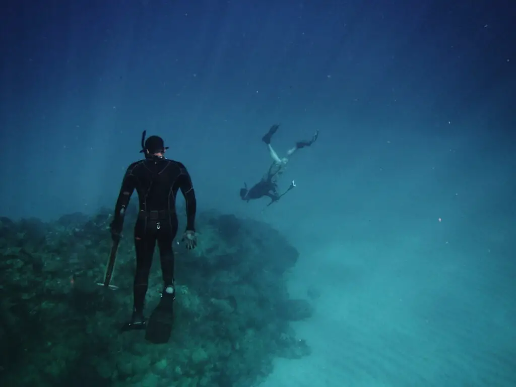 sea diving underwater freediving