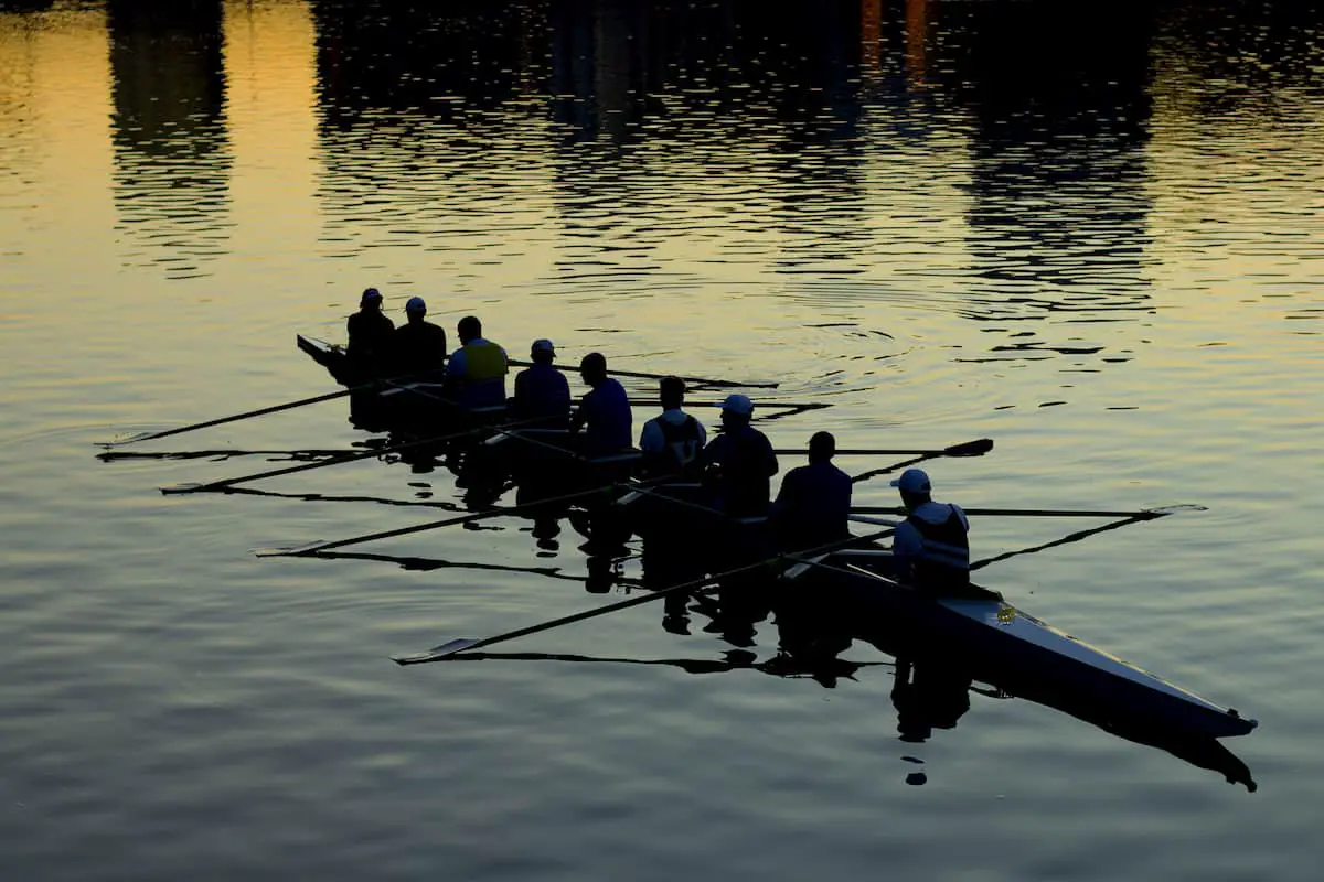 rowing team rowing in the evening